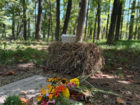 Penn forest natural burial park upcoming events. .  <a href=https://ok-vatuti...