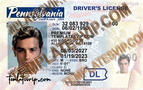Pennsylvania Driver License Template PSD File