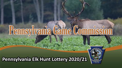 Pennsylvania Elk Lottery 2022 2023