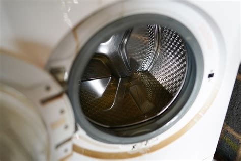 Pennsylvania murder suspect found hiding in washing machine