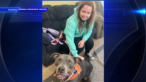 Pennsylvania woman finds new furry friend wearing late dog’s bandana