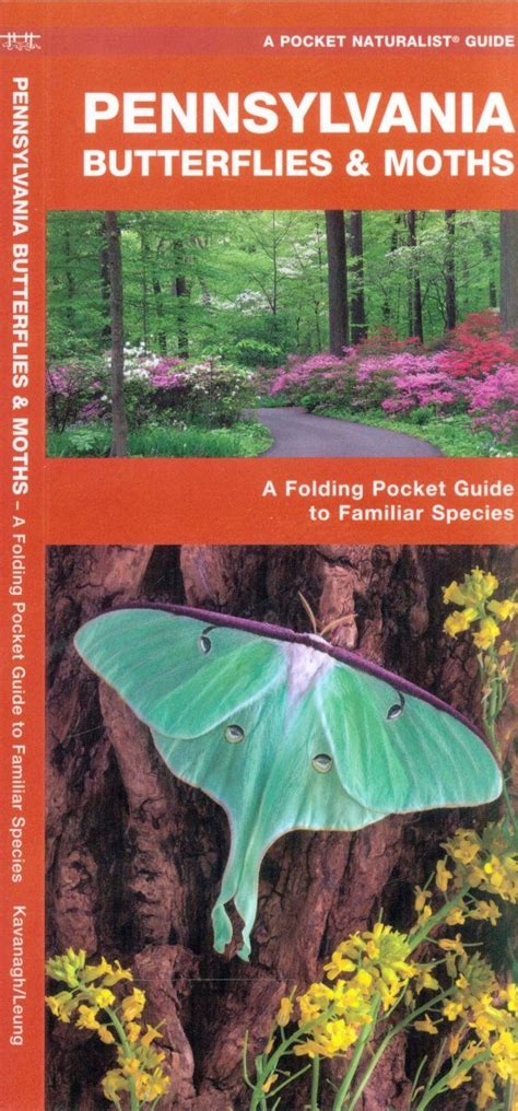 Download Pennsylvania Butterflies  Moths A Folding Pocket Guide To Familiar Species By James Kavanagh