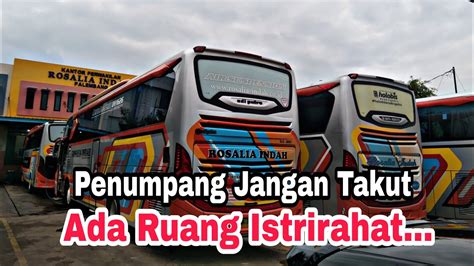 Manfaat perkembangbiakan vegetatif agar cepat berbunga dan berbuah