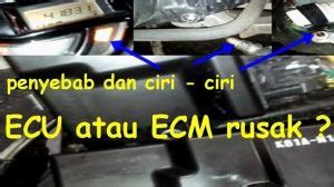 Penyebab ecu motor rusak 【Video mengejutkan】