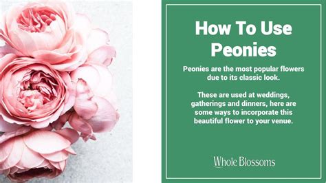 Peoniesblooms Onlyfans Leak [HD] 55 Videos