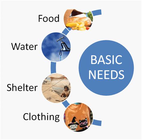 The definition of a basic need is anything that is fundamentally c