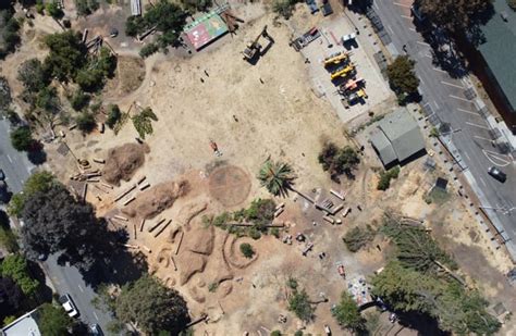 People’s Park: Demolished trees, vegetation spark $4.5 million lawsuit against UC Berkeley