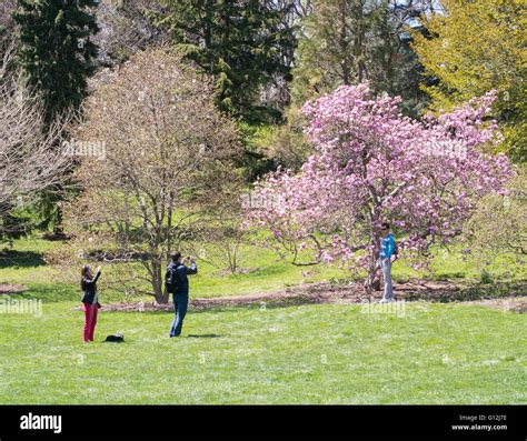 People Arnold Arboretum