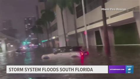 People climb out of sunroofs as cars get stuck in Miami flood waters - WTSP