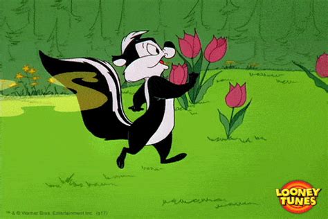 Pepé le pew gif. Things To Know About Pepé le pew gif. 