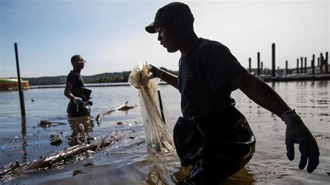 Pepco to pay $57 million for Anacostia River contamination, cleanup