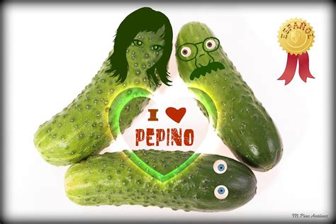 English Translation of “pepino” | The official Collins Spanish-English