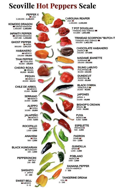 Pepper Scale R/coolguides vlr.eng.br
