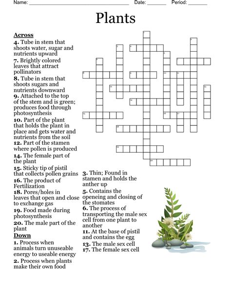 Pepper family plant crossword 5 letters. US astronauts headed to the International Space Station in 2020 will be accompanied by pepper plants. Space is about to get spicy. The American space agency, NASA, is planning to b... 