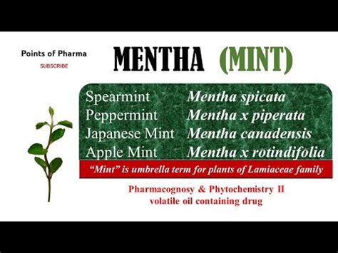 Peppermint (Mentha Spicata): Taxonomic Classification, Medicinal ...