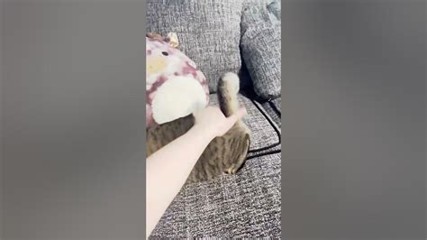 💦 Peppers_Booty Onlyfans Leak PORN 17 Vids