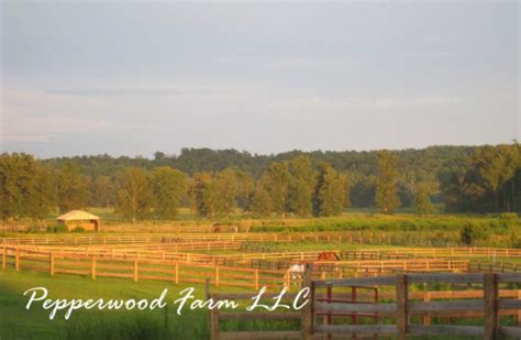 Pepperwood farm charlotte nc. Pepperwood Farm, LLC, Fuquay-Varina, NC. 1,448 likes · 8 talking about this. Pepperwood Farm is a premier boarding facility located in Fuquay-Varina, about 20 minutes from downto Pepperwood Farm, LLC 