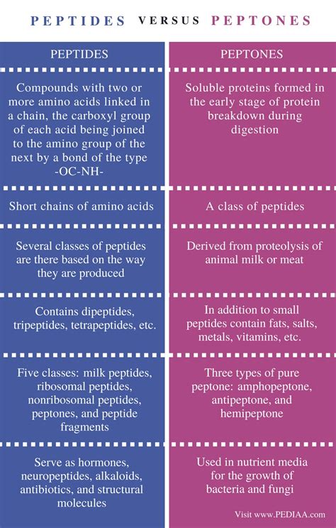 Peptone Definition & Meaning - Merriam-Webster