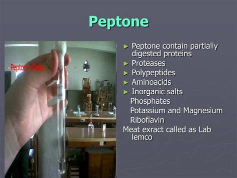 Peptones and Extracts – Definitions and Comments