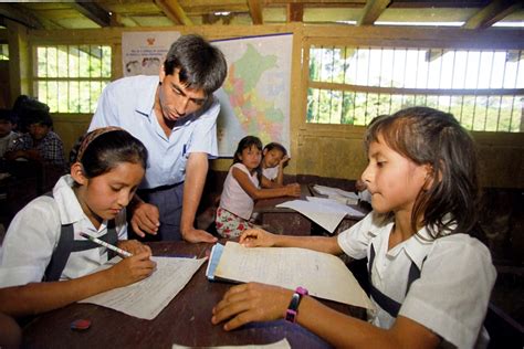 Perú: la reforma educativa en una sociedad de clases. - Animal farm study guide glencoe answers.