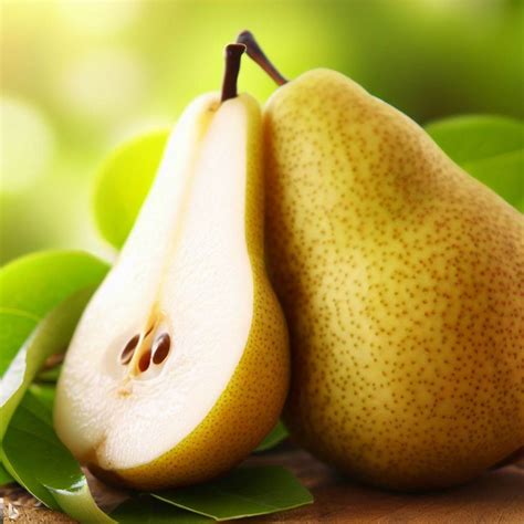 Pera & Işıl Ayman “Uyanmayalım” – Söz Müzik. 