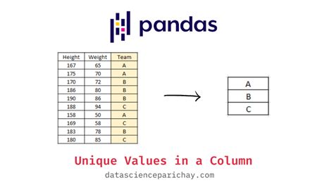 Percentage Of Unique Values In A Column Pandas
