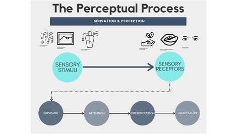 Perceptual Process In Communication: 3.1: Communication and Perception - Social Sci LibreTexts image 1