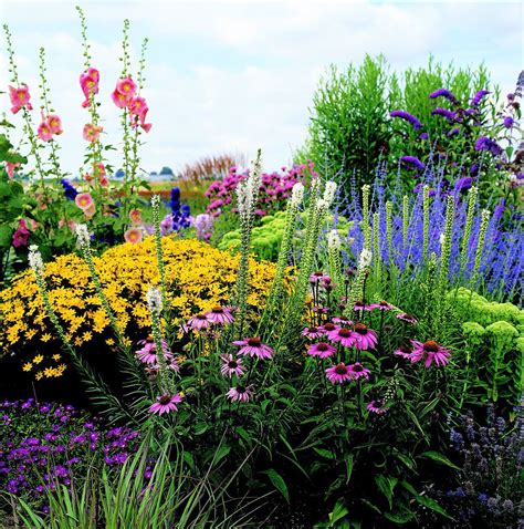 Perennial Flower Bed Designs for a Garden That …