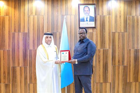 Perez Long Linkedin Mogadishu
