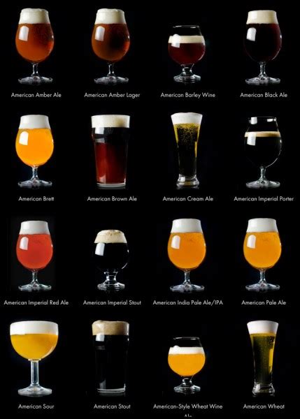 Perfect Guide to Most Popular Craft Beer Styles - The Wine & More