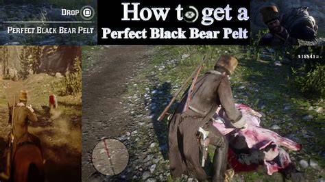 Perfect black bear pelt rdr2 pearson.  It&rsquo;s essential for craftin...