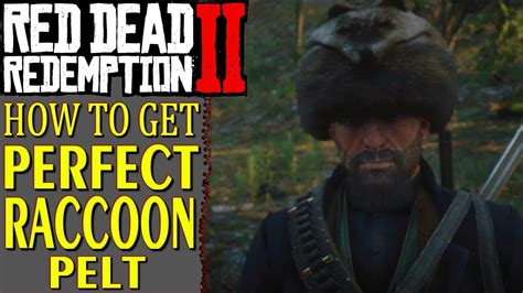 Perfect raccoon pelt rdr2. This page covers the Fox location in RDR2, and how to get a Perfect Fox Fur. The Fox is a medium sized animal in Red Dead Redemption 2. You'll most likely 