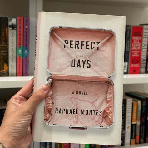 Full Download Perfect Days By Raphael Montes