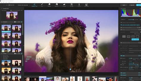 Perfectly Clear WorkBench 4.1.0.2267 Addons Pack (x64 .