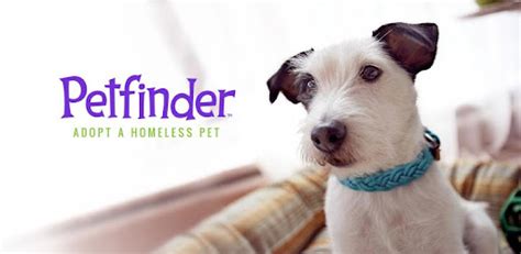 Learn more about how Purina and Petfinder are making a difference together. . Perfinder