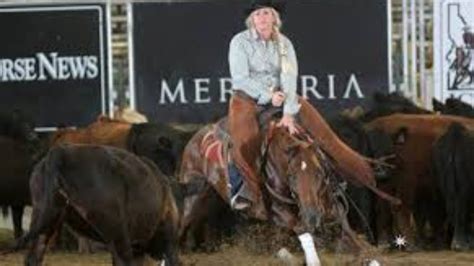 Performance horse central live scoring. A rare gem of pedigree, performance and impeccable conformation! Dam is a legendary producer of $1.9 M including 3 Open Triple Crown Champions that are 3 different horses by 3 different sires! WOW!! Dam - The Smart Look #3 All-time Leading Producer! 24 Major LAE Finals! 