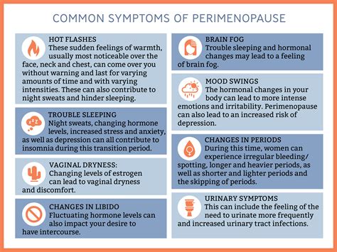 Perimenopause Explained Common Symptoms and Treatment Options