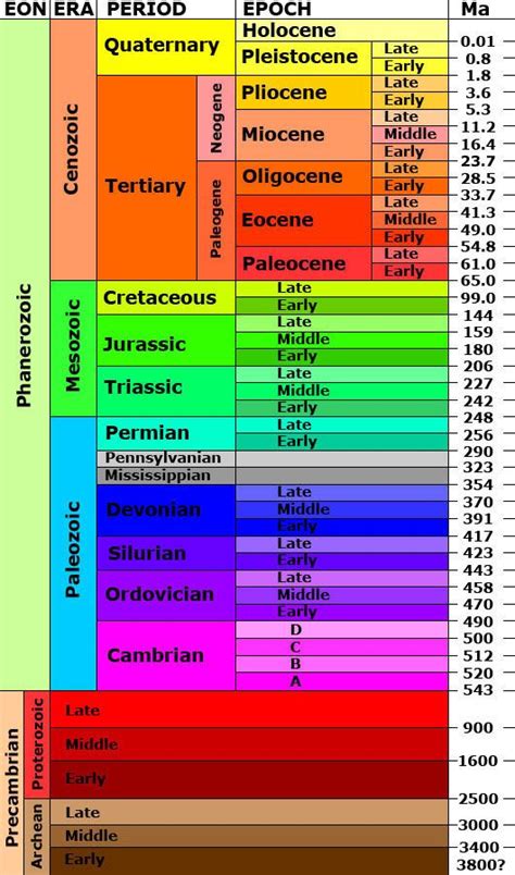fossils, scientists may not have concluded that the earth has a history that long precedes mankind. The Geologic Time Scale is divided by the following divisions: Standard 8-2.4: Recognize the relationship among the units—era, epoch, and period—into which the geologic time scale is divided. . 