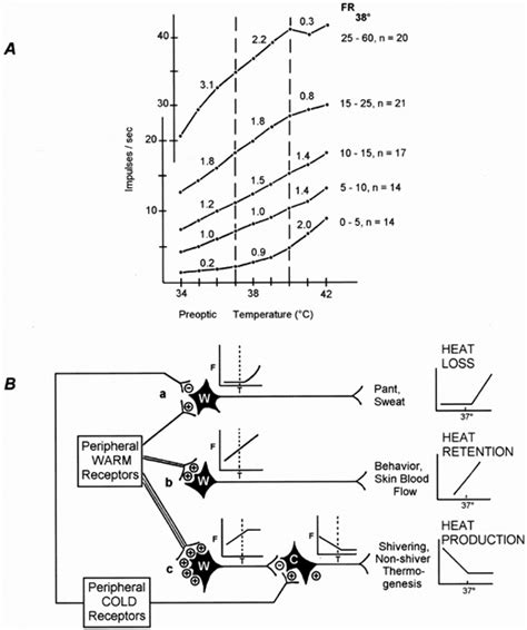 Perioperative Shivering Anesthesiology American Society of ...