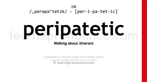 Peripatetic Definition of Peripatetic by Webster