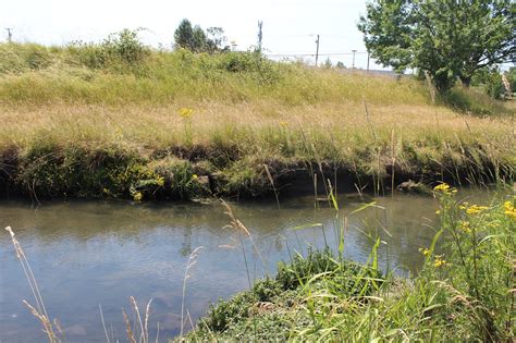 Periwinkle Creek Clean Up - Home - Facebook