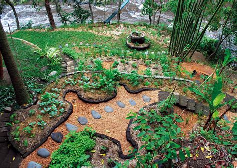 Permaculture design. Permaculture design takes the entire “system” of our environment – the landscape, our homes, humans, nature, animals, plants, etc. – into account to create a truly sustainable and healthy model of living in and with natural systems while meeting human needs as well. 
