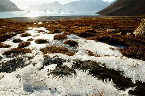 Permafrost is a frozen layer of soil widely found on land and below the ocean floor, particularly in areas where temperatures rarely rise above freezing. It is estimated that around one-quarter of .... 
