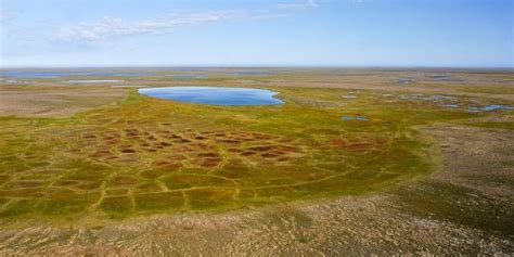 Permafrost peat carbon approaching a climatic tipping point