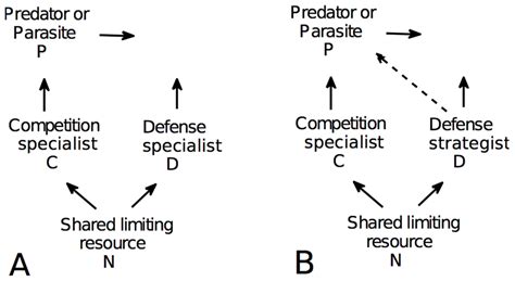 Permanence and Stability of a Kill the Winner Model in ... - Springer