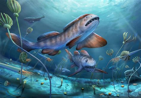 Unlike today's icy conditions, the climate was warmer, and the sea levels were higher, flooding most of the land. The Malvinoxhosan biota were a group of marine animals that thrived in cooler waters.. 