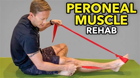 Peroneal Tendonitis And The Best Stretches To Relieve …