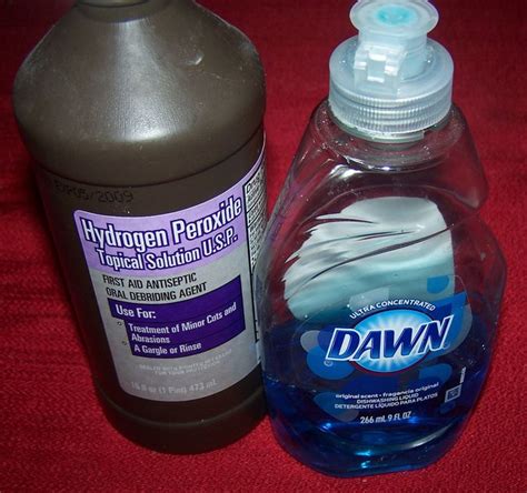 Peroxide and Dawn Stain Remover - Another Success Story ...