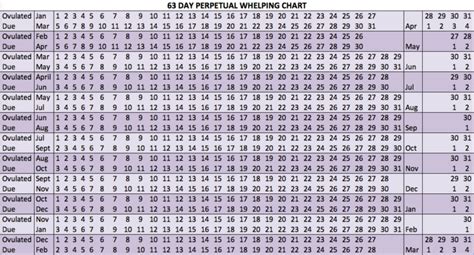 Perpetual Whelping Chart & Calculator for Dogs