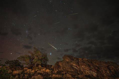 Perseid Meteor Shower 2026: Best Viewing Guide & Tips! (2026)